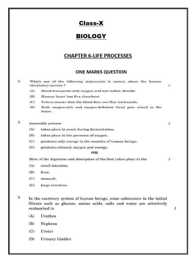 CH Life Processes Question Bank | PDF