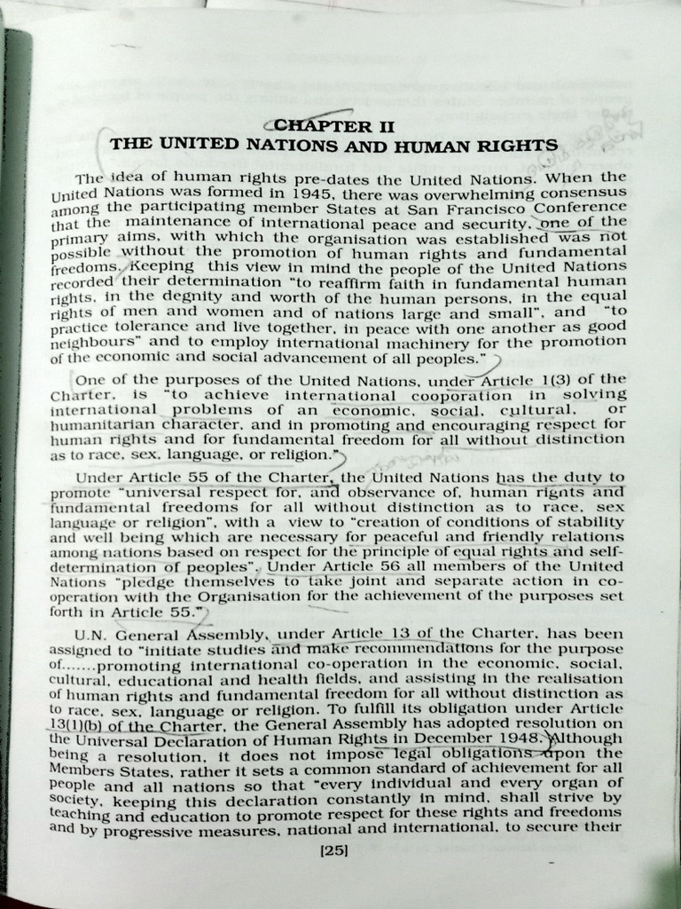 Human Rights and Un | PDF