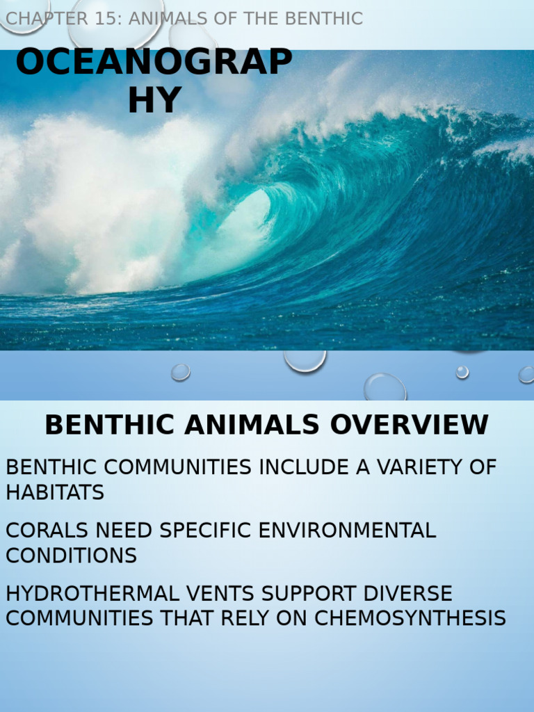 Benthic Animals and Communities Overview | PDF | Coral Reef | Coral