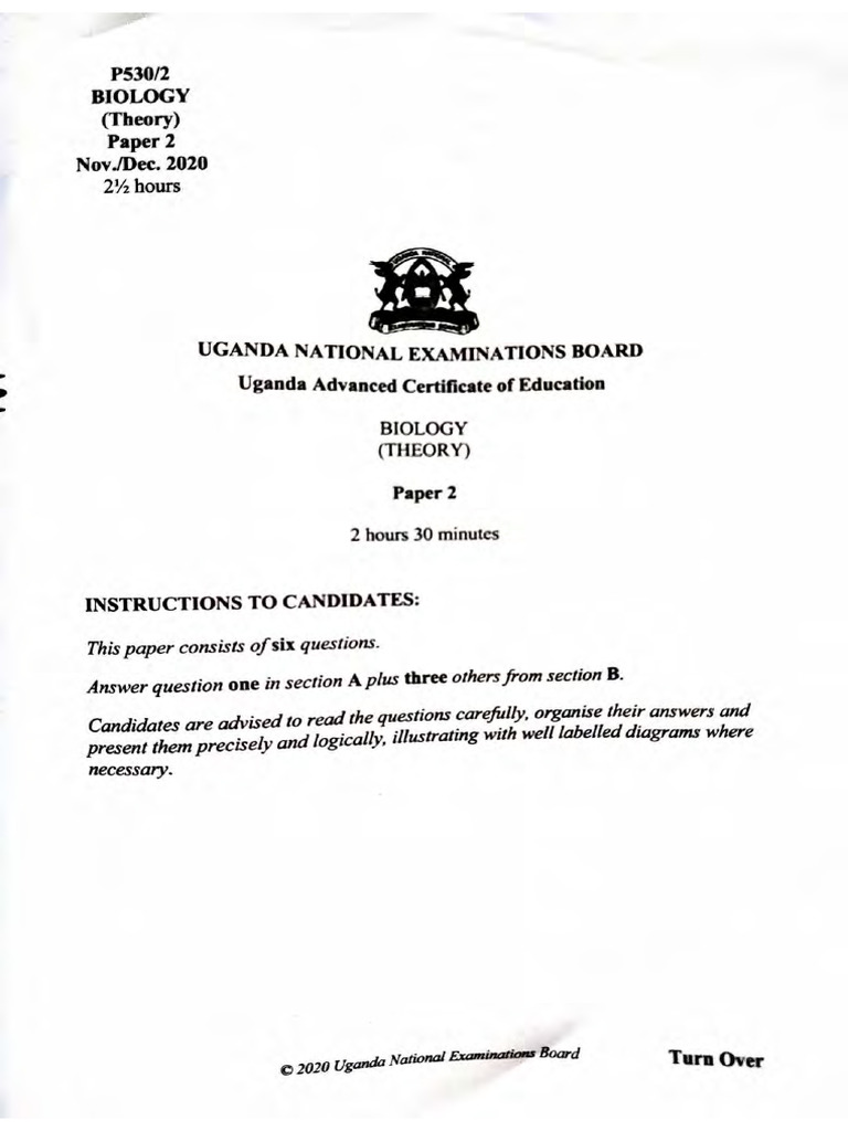 Biology Mock Exam Paper 2 - 2019 | PDF | Photosynthesis | Cell Membrane