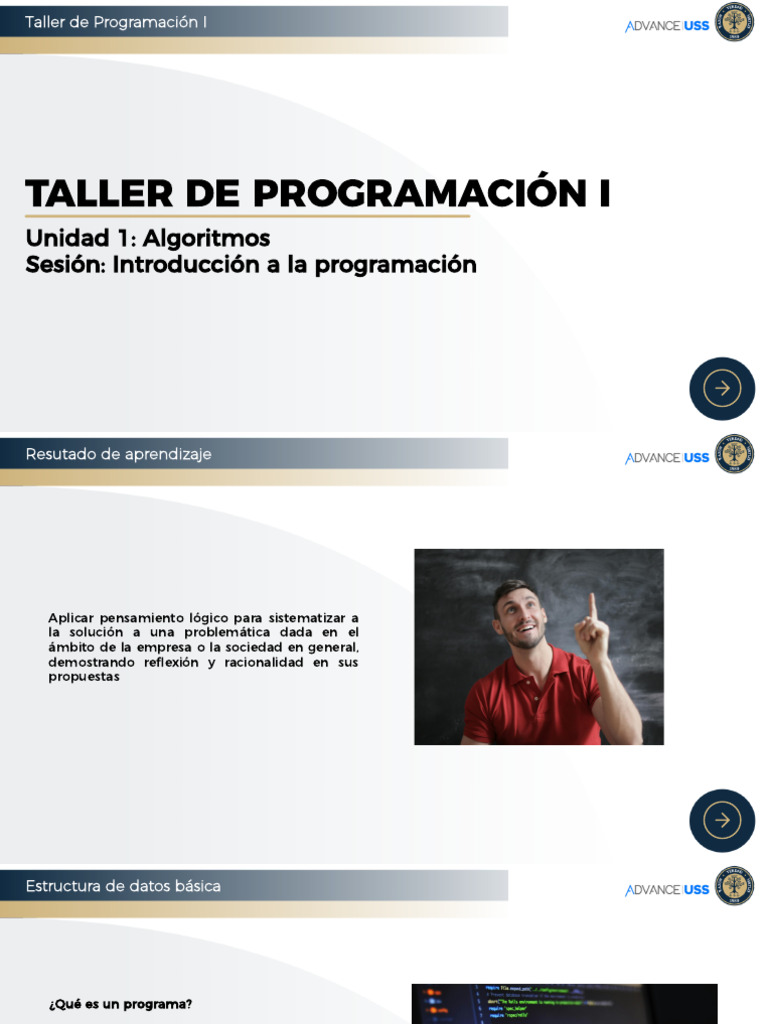 Introducción a Algoritmos y Estructuras de Datos | PDF | Programa de ...