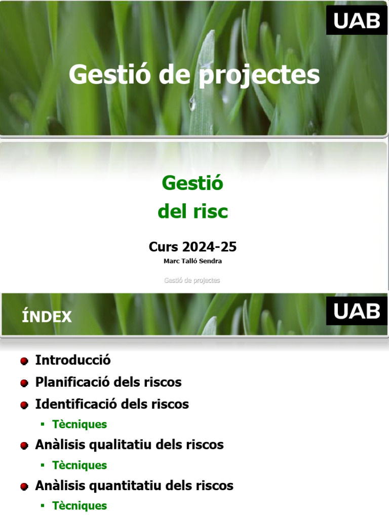 L10 Gestió Del Risc GP 2024-25 | PDF