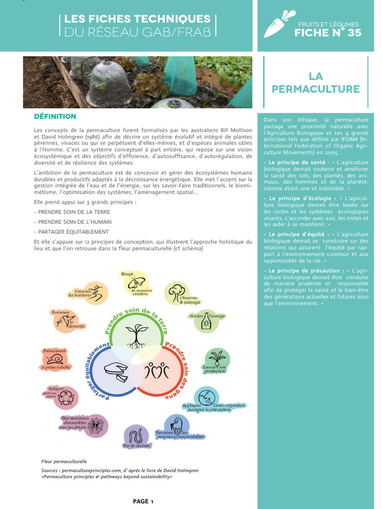 Introduction à la permaculture et ses principes | PDF | Permaculture ...