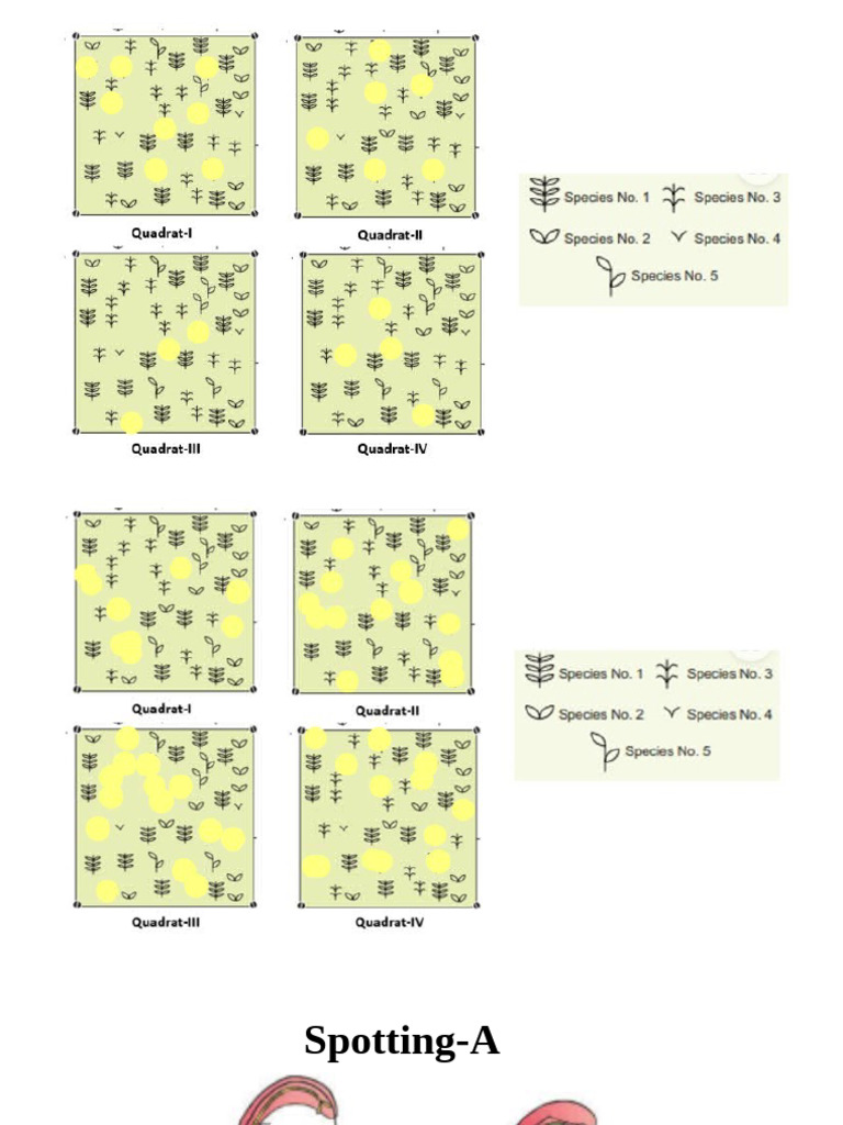 Comprehensive Spotting Guide | PDF