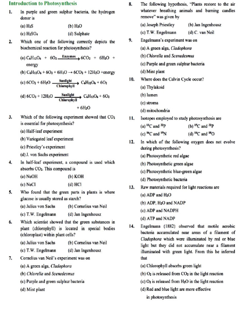 Understanding Photosynthesis Basics | PDF | Photosynthesis | Chloroplast
