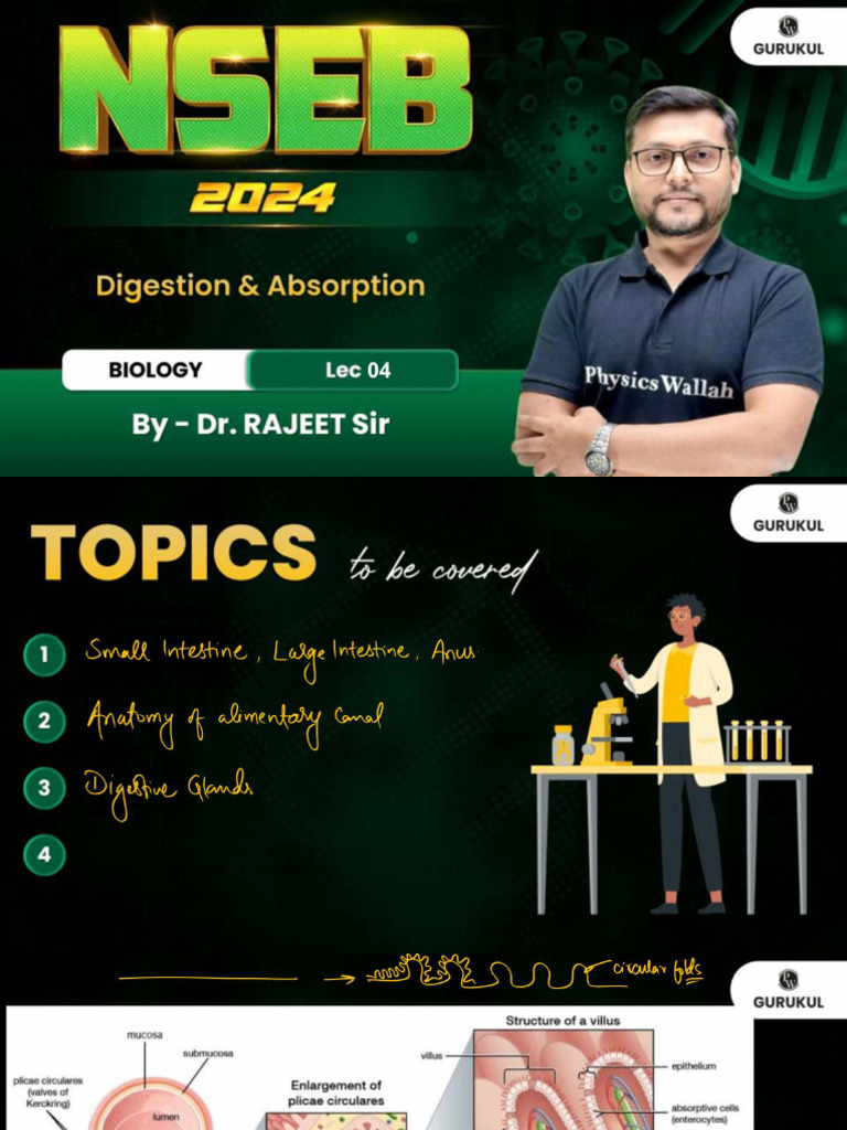 Digestion and Absorption 04 - Class Notes - NSEB 2024 | PDF