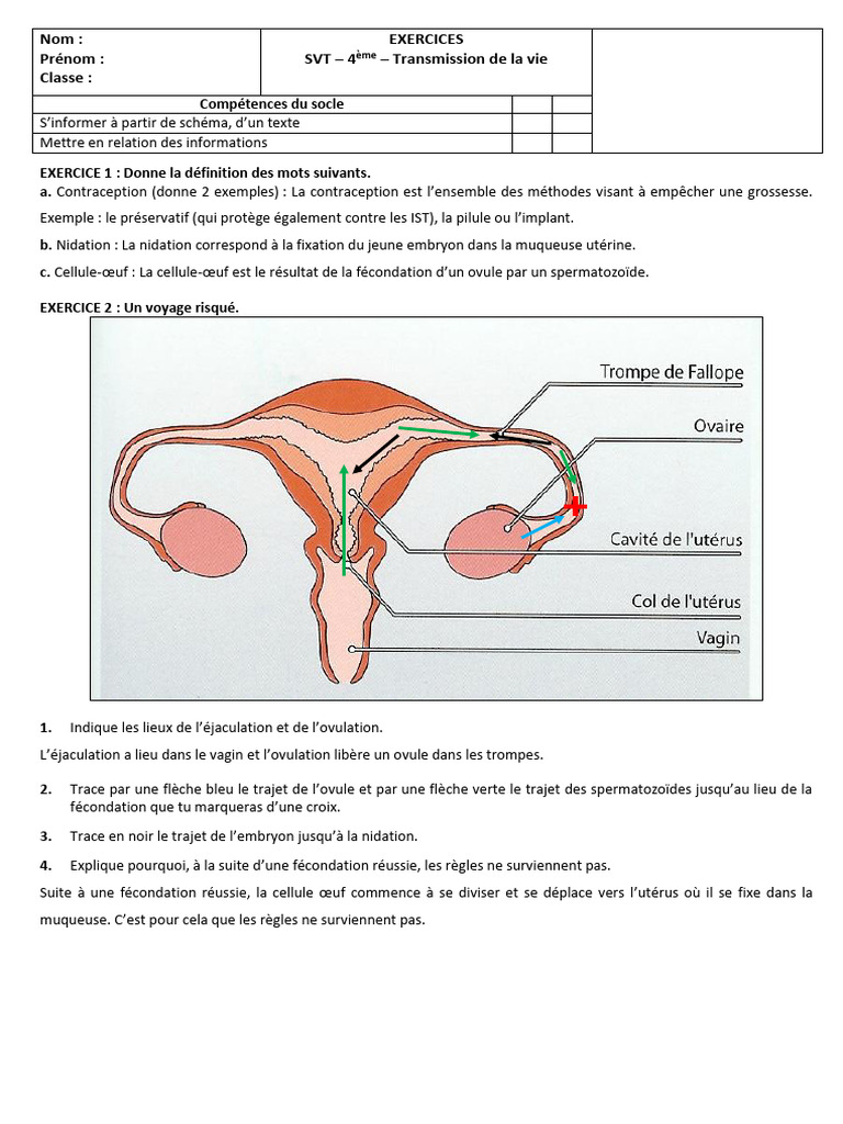 Définition et schéma de la nidation | PDF | Grossesse | Utérus