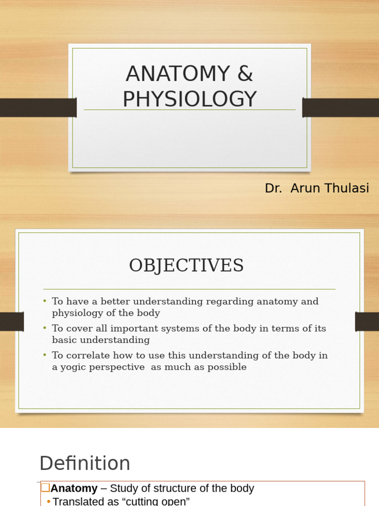Anatomy Physiology Pdf Lung Lymphatic System