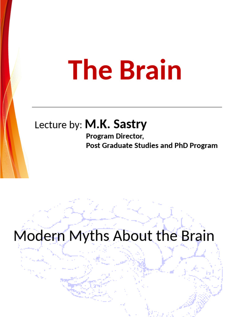 210522 Ppt The Brain Pdf Cerebral Cortex Cerebrum