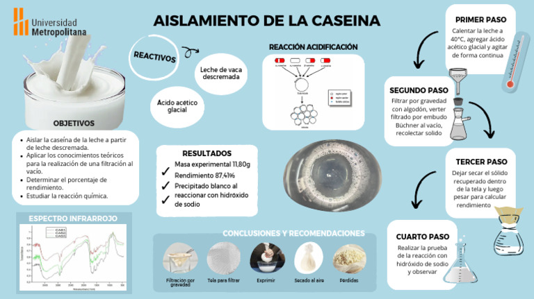 Aislamiento de caseína en leche descremada | PDF | Química | Compuestos ...