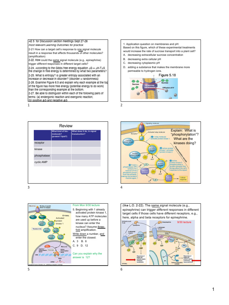 AE5 Handout Signal & Energy | PDF | Cell Signaling | Gibbs Free Energy