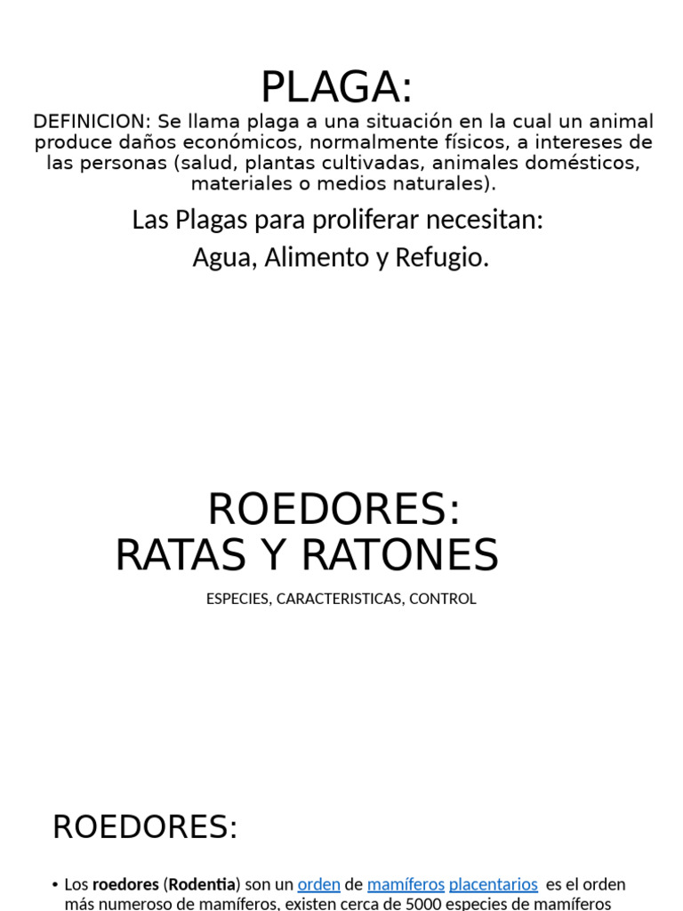 Control de Plagas: Roedores y Excrementos | PDF | Mosquito | Roedor