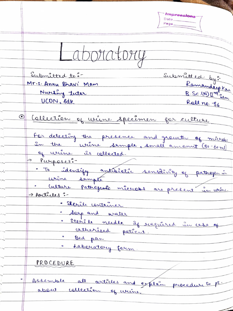 Lab Procedure | PDF