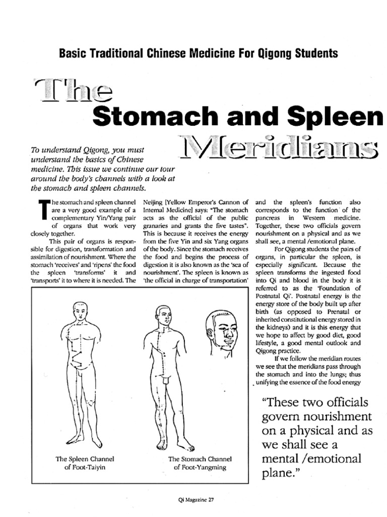 Basic Traditional Chinese Medicine For QiGong Students Qi Magazine 04 | PDF