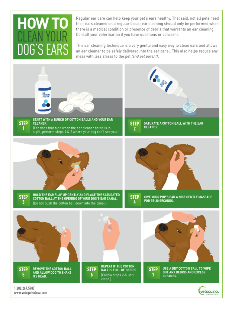 View of How to Clean Your Dog's Ears Safely | PDF | Animals And Humans
