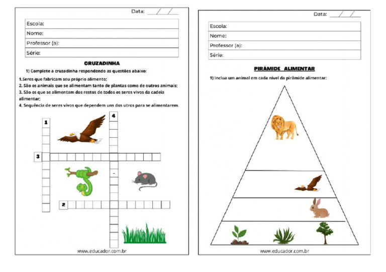 Atvs Ciencias Cadeia Piramide e Cruzadinha | PDF