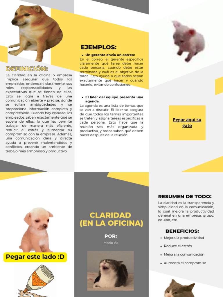 Trifoliar Claridad | PDF | Business | Economias