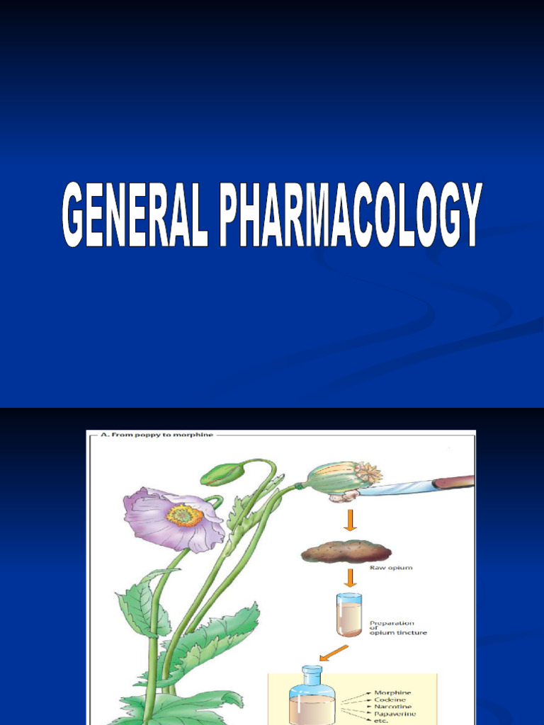 Pharmacokinetics For Pharmacology Students Pdf