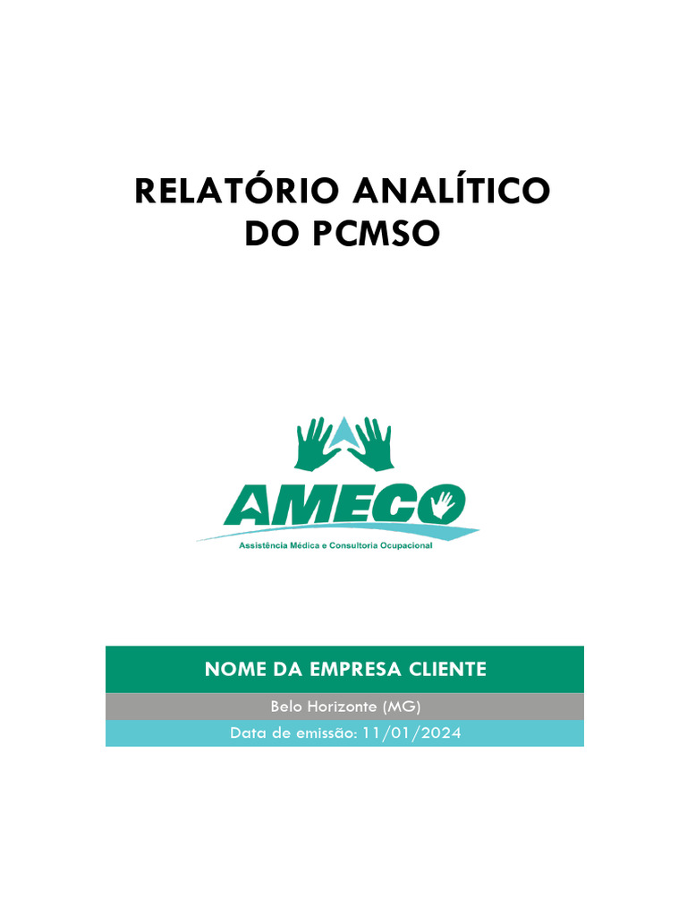 (MODELO) Ameco - RELATO - RIO ANALI - TICO (Informac - o - Es ...
