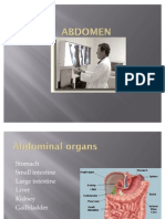 Abdomen Presentation