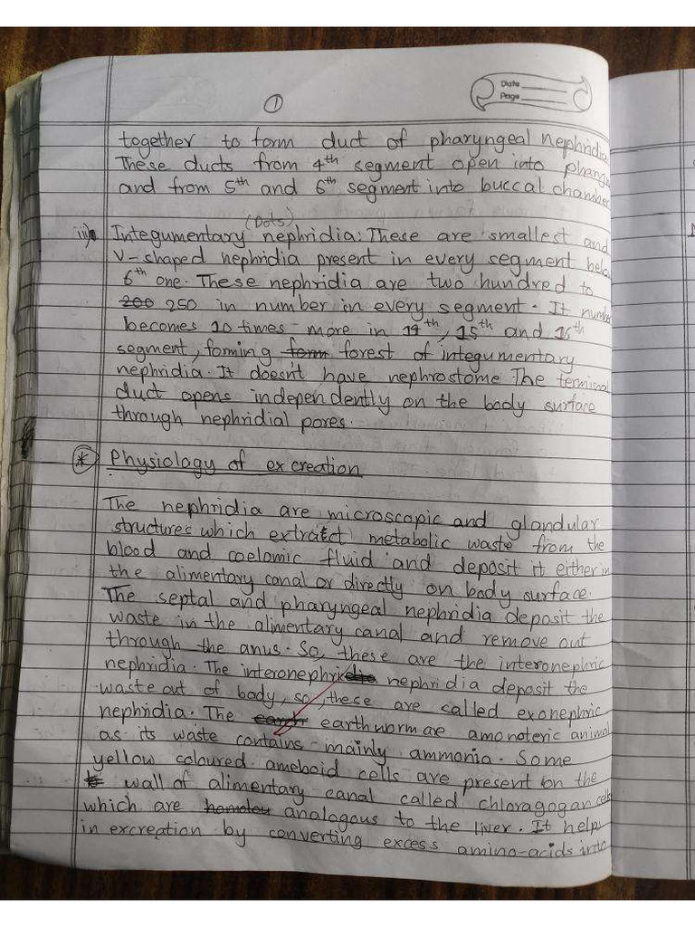 Class Note | PDF