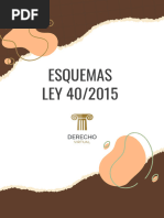 esquema-ley-39-2015-y-ley-40-2015-pdf-justicia-crimen-y-violencia