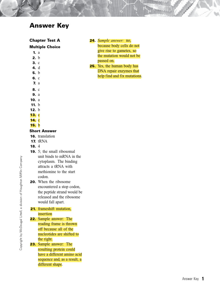 Chapter Test (A) | PDF | Dna | Rna