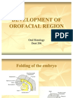 Development of Orofacial Region