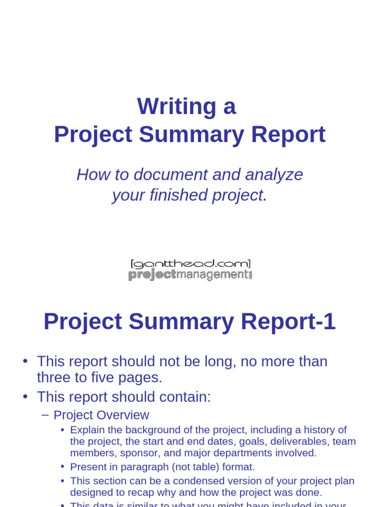 PM Writing A Project Summary Report | PDF
