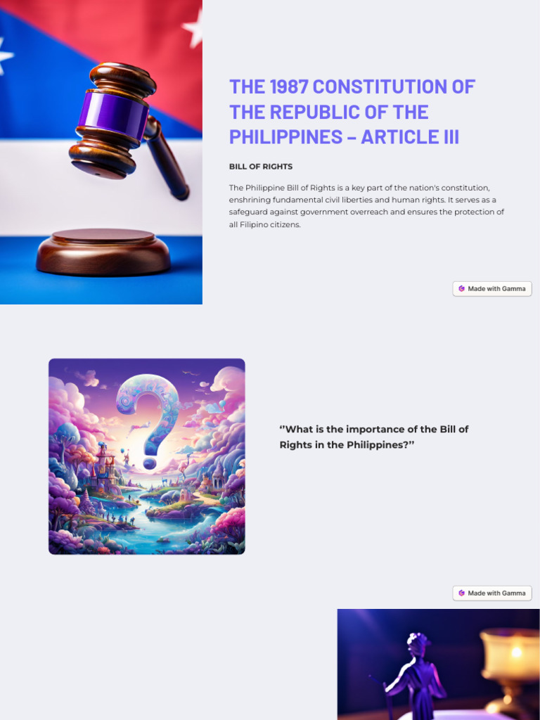Philippines Bill of Rights Overview | PDF | Search And Seizure | Human ...