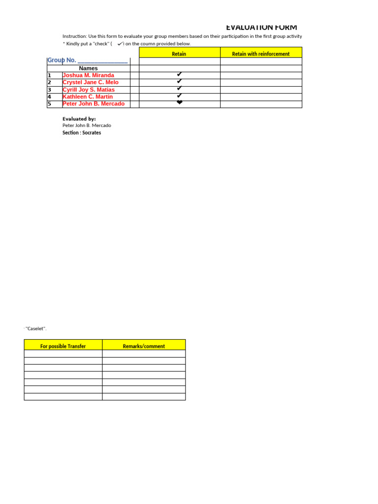 Group Activity Evaluation Form | PDF