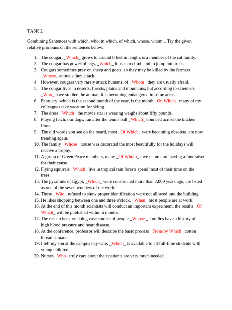 Mastering Relative Pronouns in Sentences | PDF
