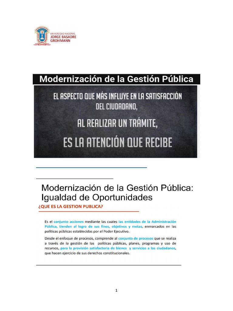 Modernización de La Gestión Pública | PDF