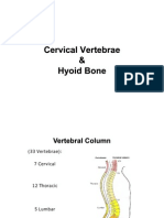 5 Cervical Vertebrae Hyoid E-learning