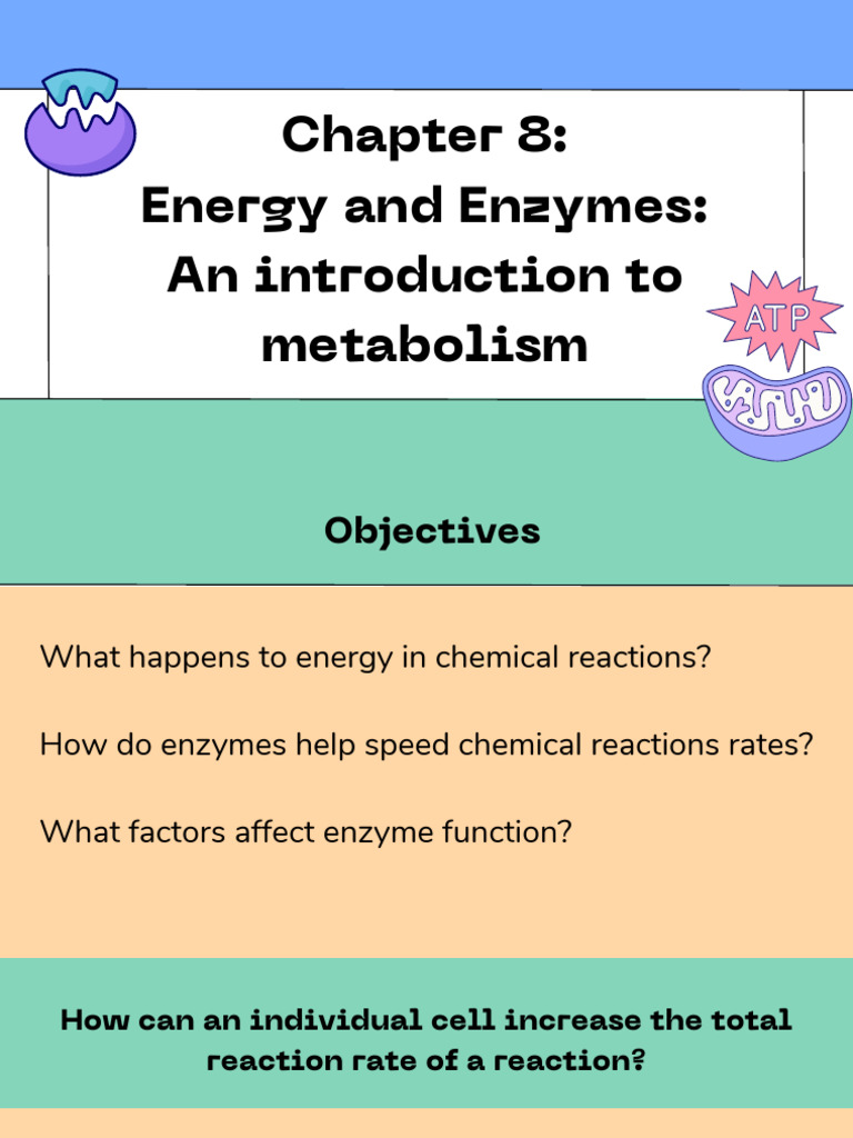Energy, Enzymes, and Metabolism Explained | PDF | Chemical Reactions ...