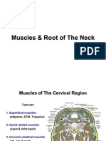 7 Muscles Root of the Neck E-learning