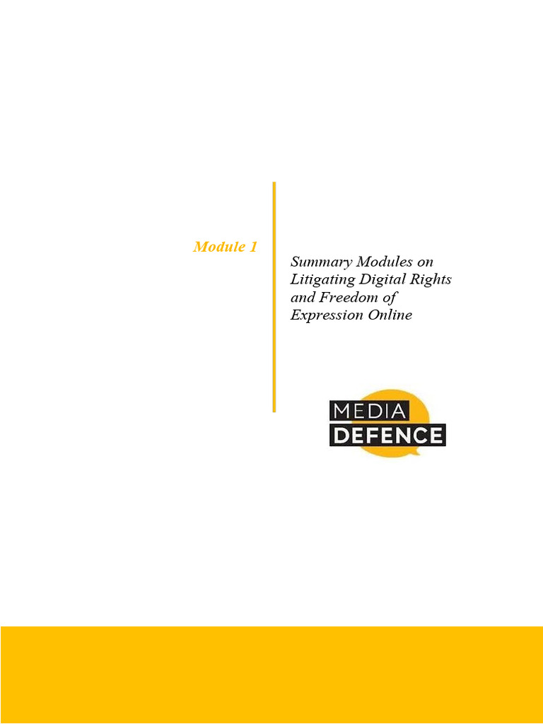 Module 1 Key Principles of International Law and FoE 2024 | PDF | Human ...