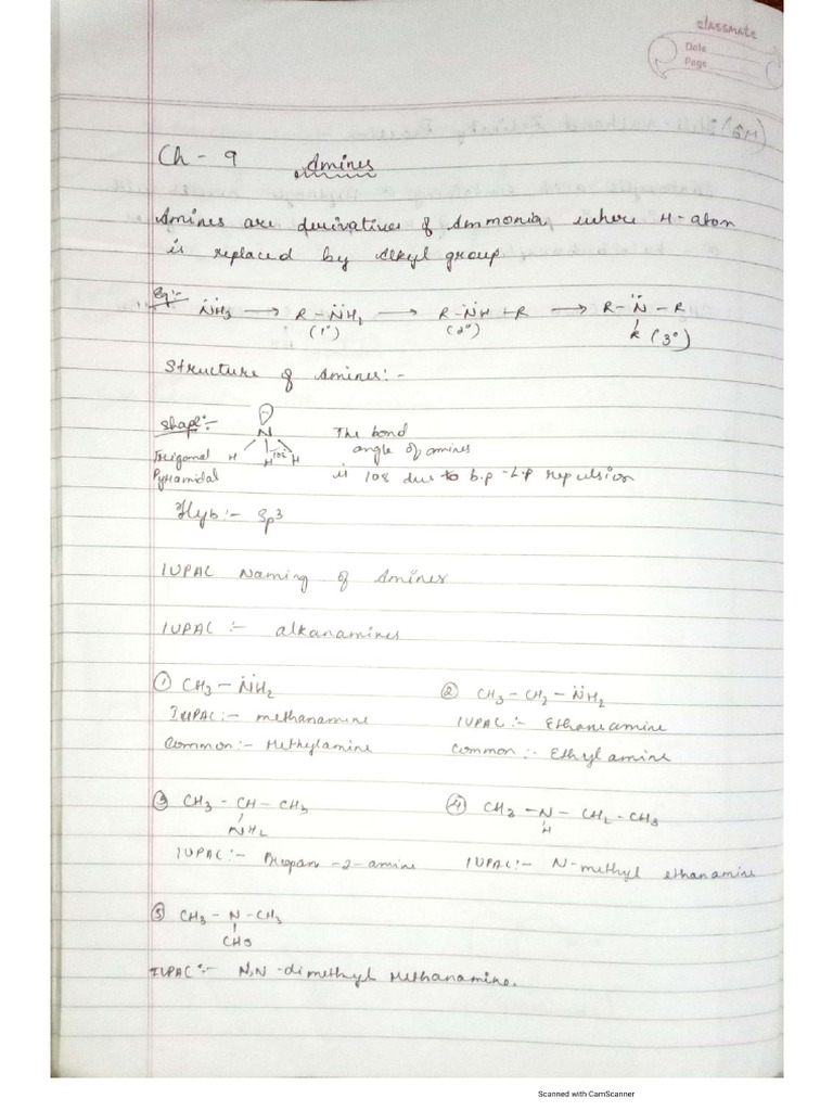 Amines Chemistry 2025 | PDF