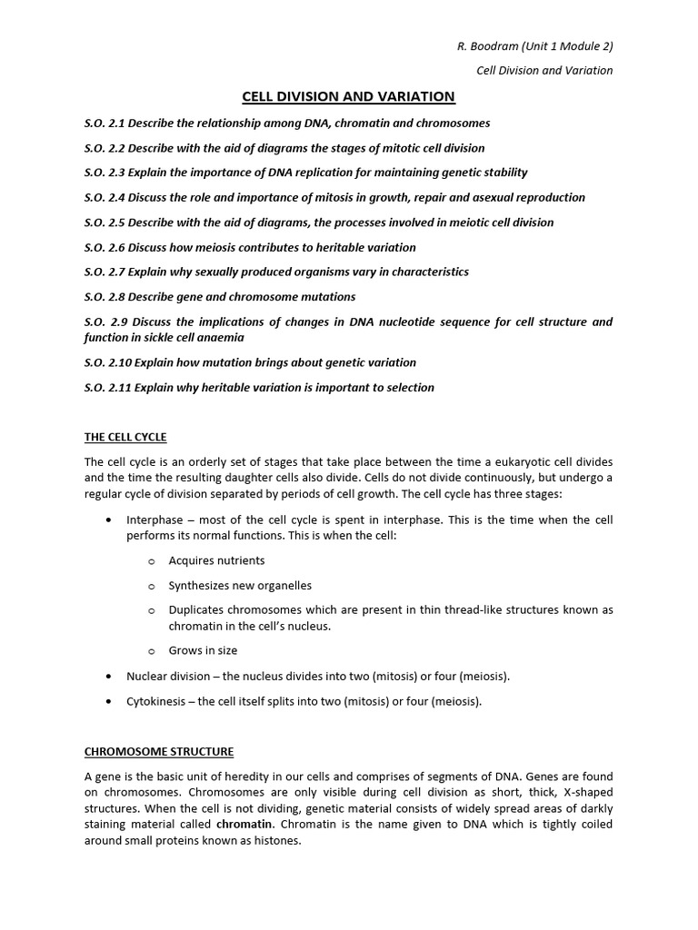 Cell Division: Mitosis and Meiosis Explained | PDF | Meiosis | Mitosis