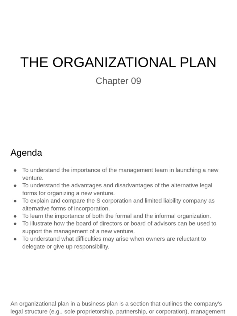 Organizational Plan for New Ventures | PDF