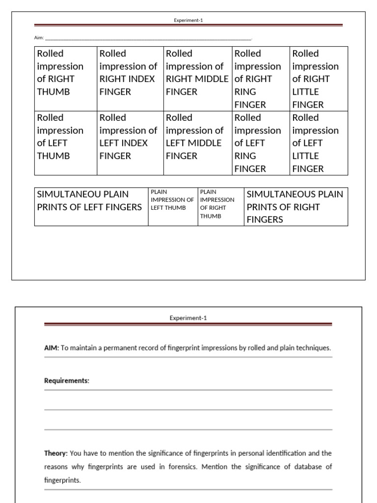 Template 1 | PDF