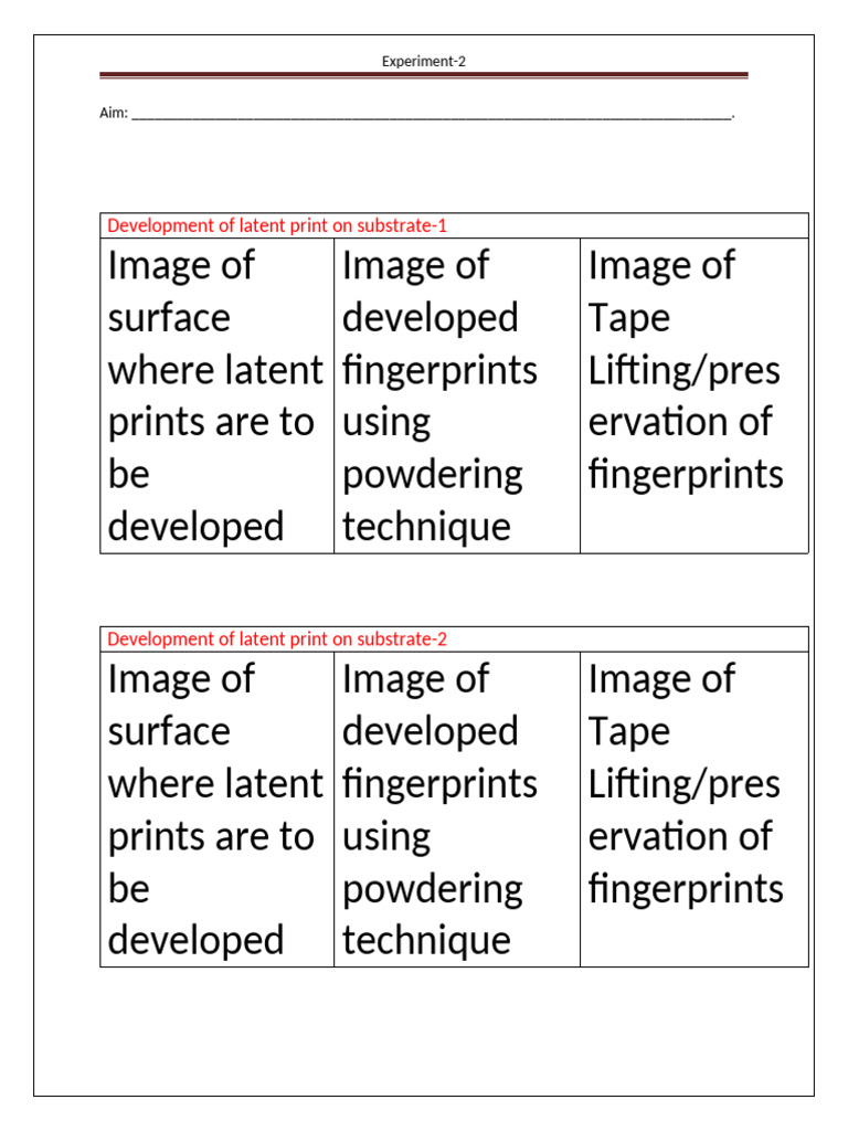 Template 2 | PDF