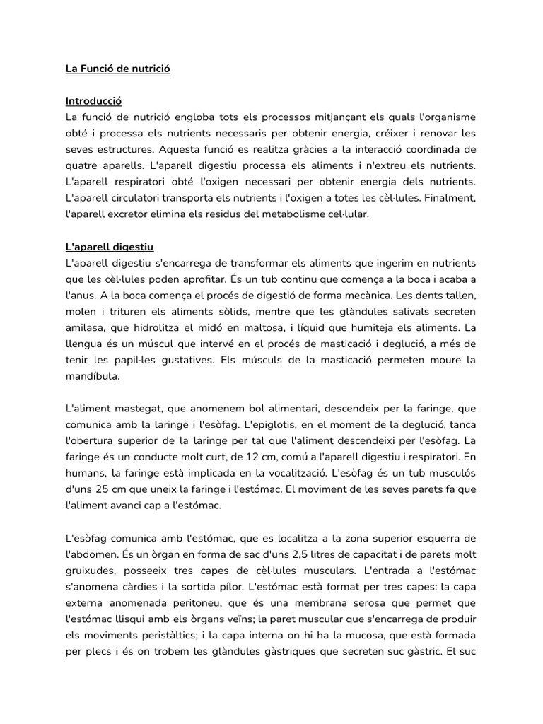 Apunts | PDF