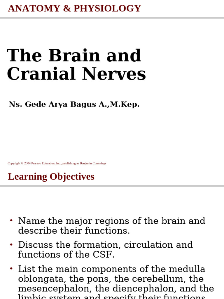 The Brain and Cranial Nerves 1 | PDF | Cerebrospinal Fluid | Human Anatomy