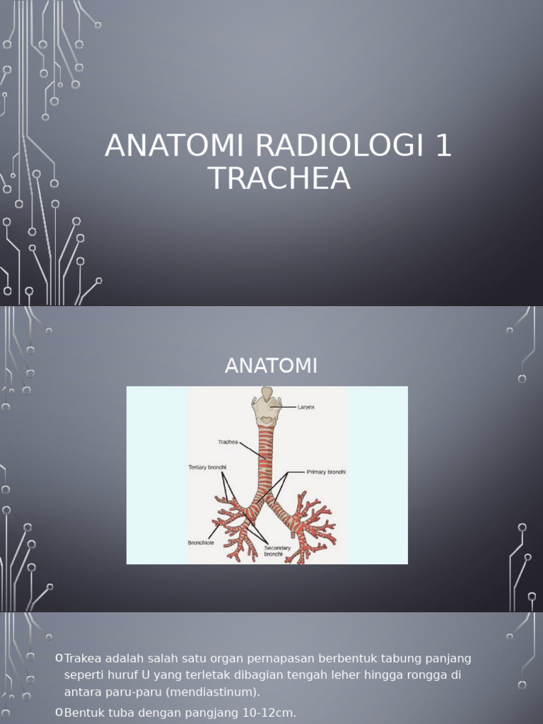 Anatomi dan Pemeriksaan Trakea | PDF