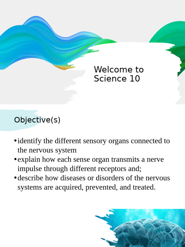 Overview of Human Sensory Organs | PDF | Senses | Perception