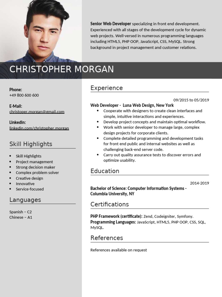 Senior Front End Web Developer Resume | PDF