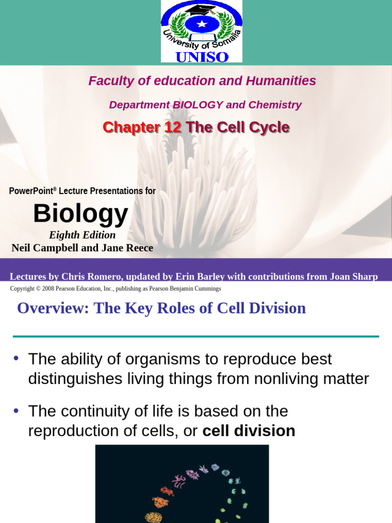 Chapter 12 Cell Cycle. | PDF | Mitosis | Chromosome