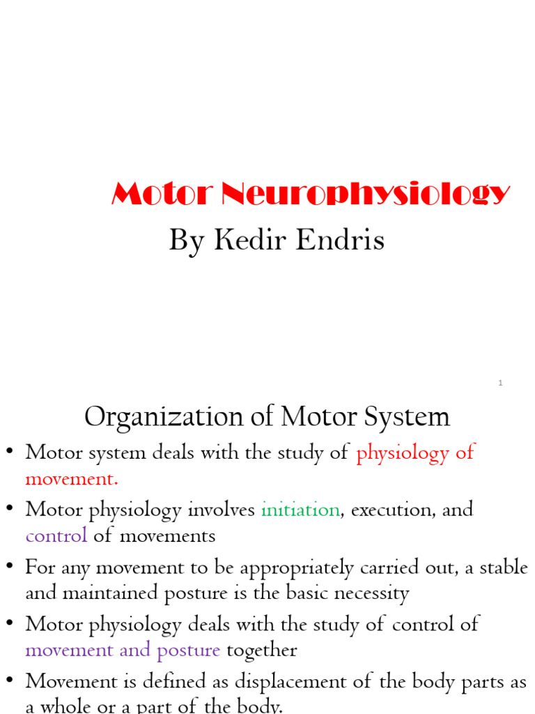 Motor Physiology Final New | PDF | Cerebral Cortex | Motor Neuron