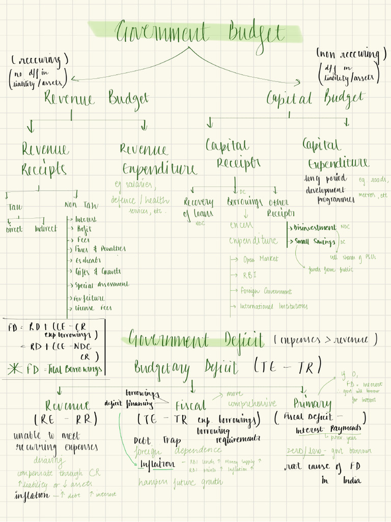 Government Budget | PDF